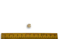 F 10880
<br/>
<br/>
<em></em>